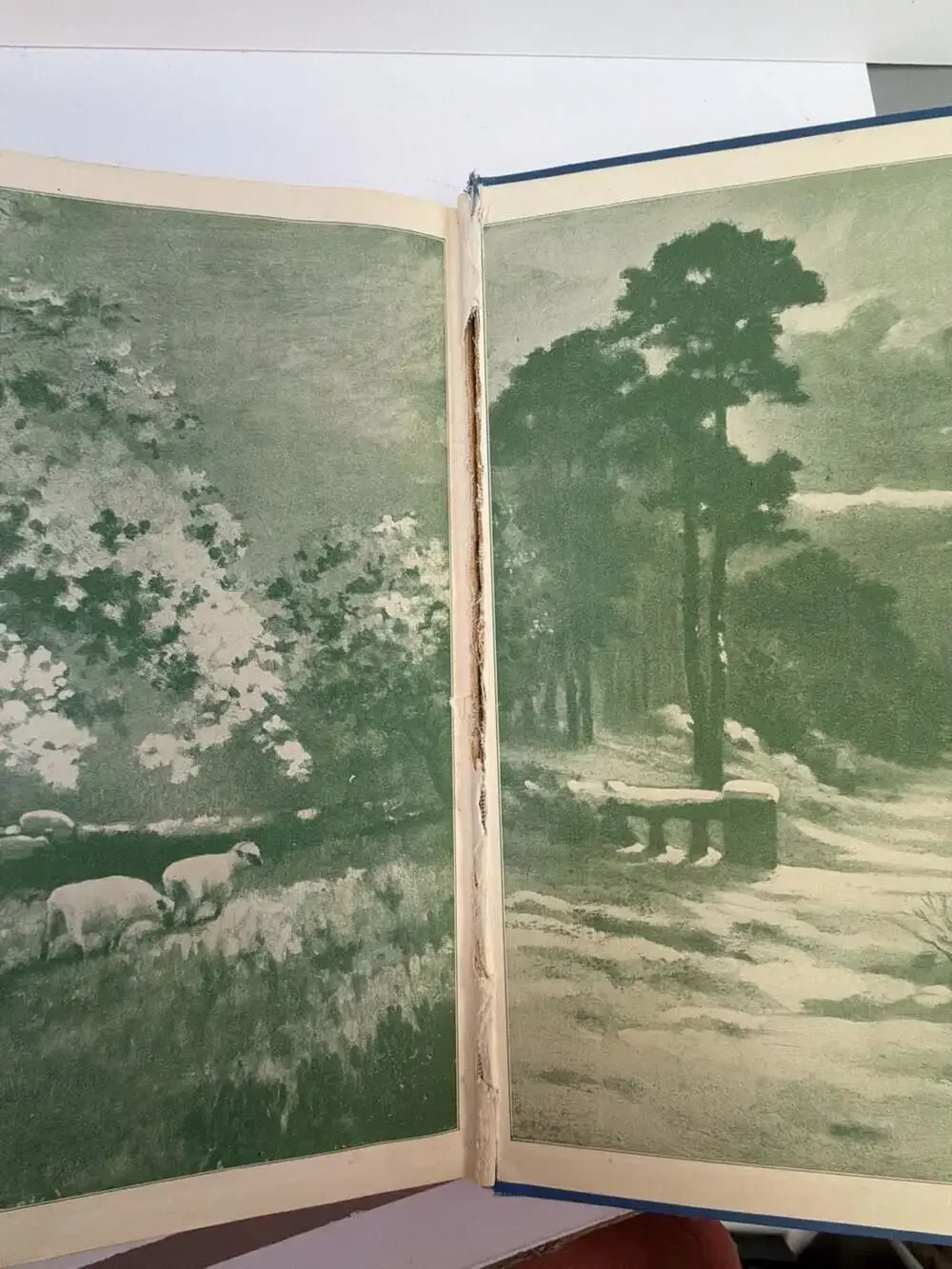 The‎ Girl's Own Annual Volume 51 (1931) Edited by Flora Klickmann
